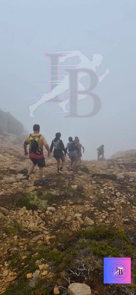 Ascenso en la Niebla