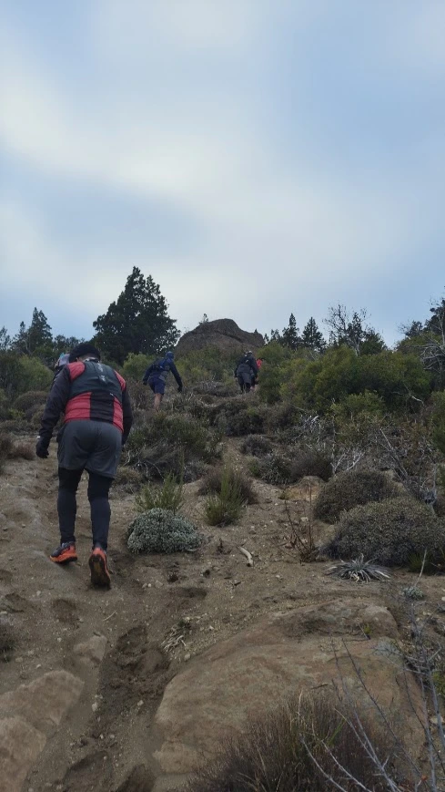 Entrenamientos Grupales